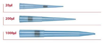 �Ԅӻ����^