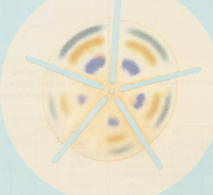 ��Ʒ���Q(ch��ng)��MN��ī��/ɫ�V��